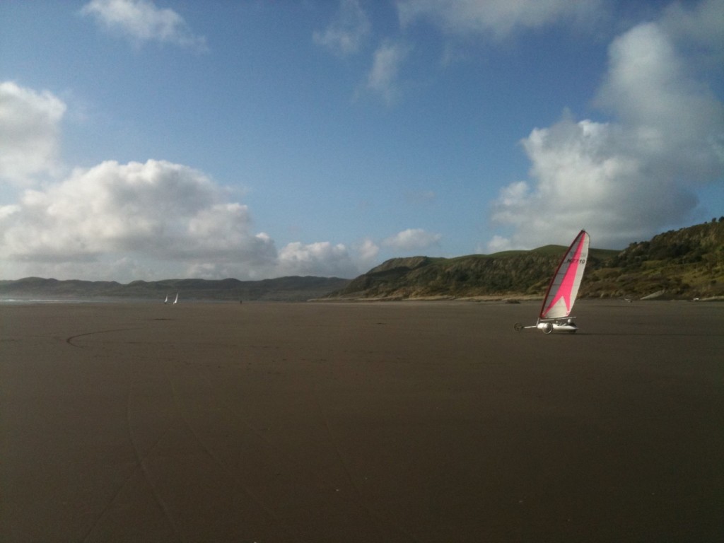 Windsurfing in Auckland