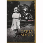 boys in the trees book