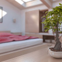 The Beginner’s Guide to Feng Shui