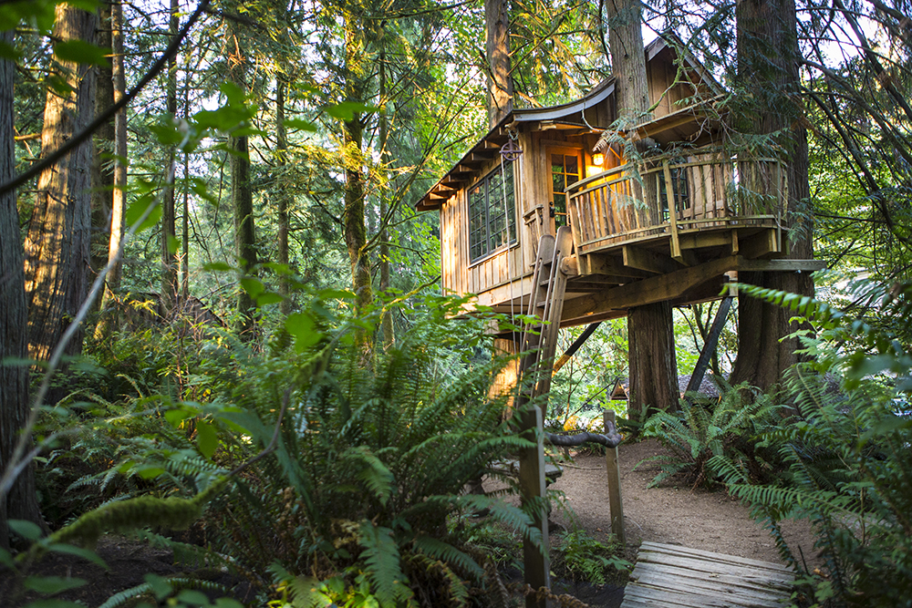 Treehouse Point
