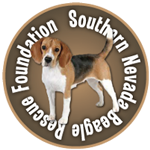 southern nevada beagle rescue foundation