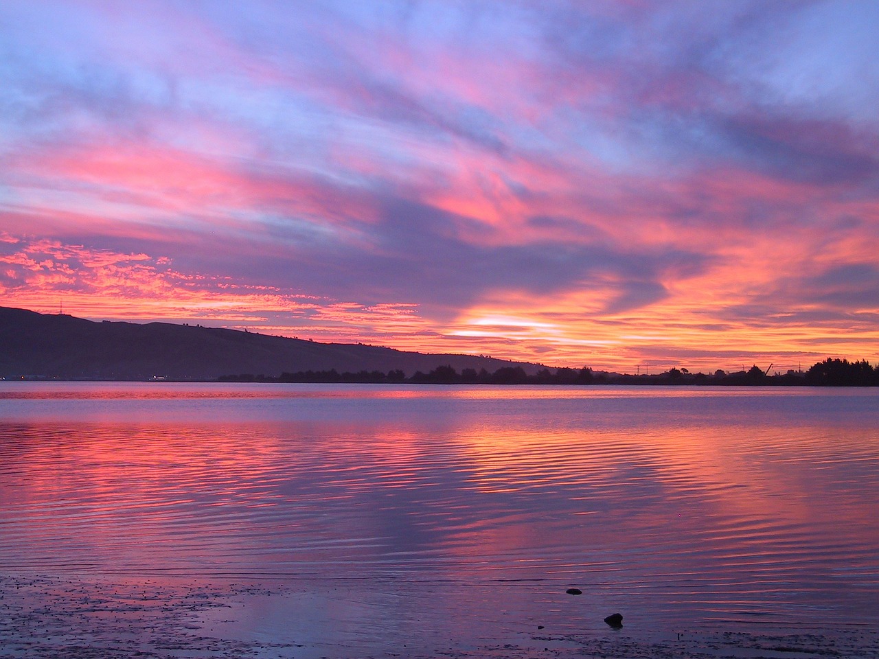 lake purple sunset