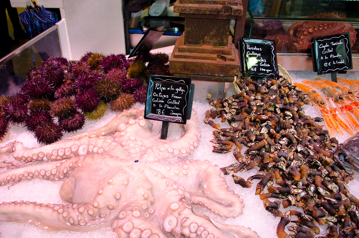 octopus at madrid market