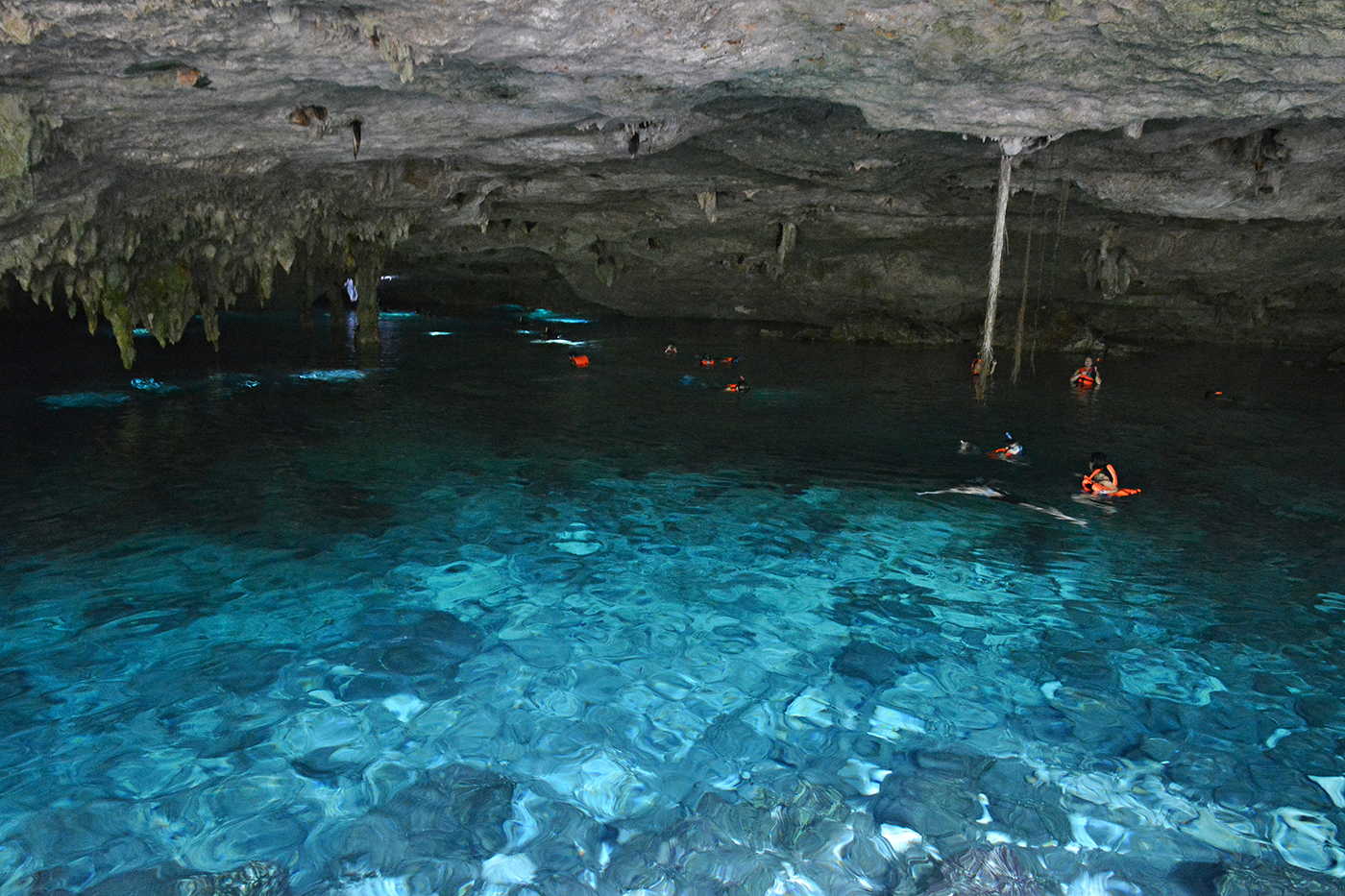 People swimming in Dos Ojos cenote, located 20 km from Tulum.